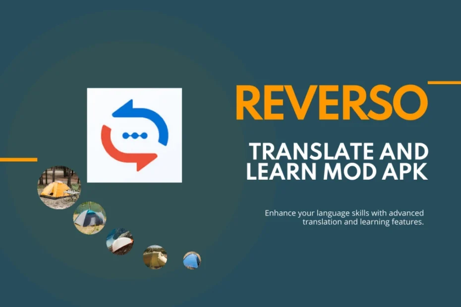 Reverso Translate and Learn MOD APK