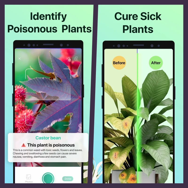 Download PictureThis MOD APK 