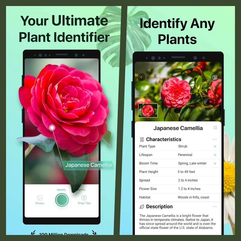 PictureThis MOD APK Download 